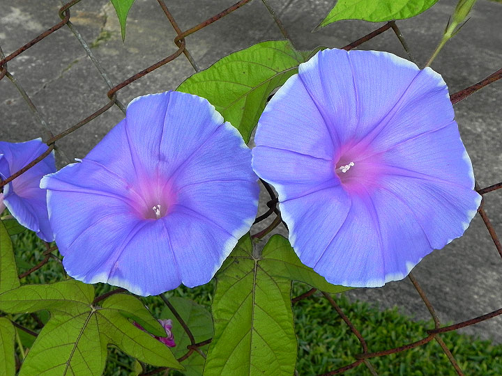 dscn7400