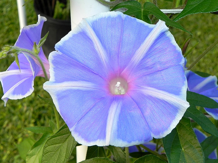 dscn7467