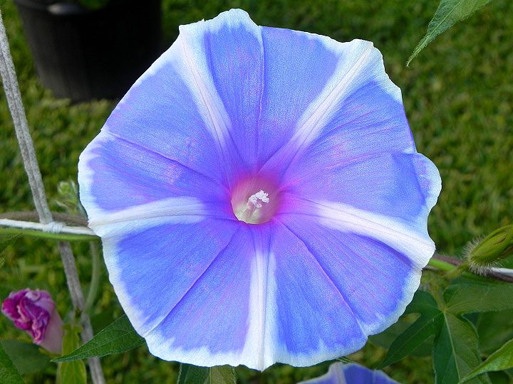 dscn7469