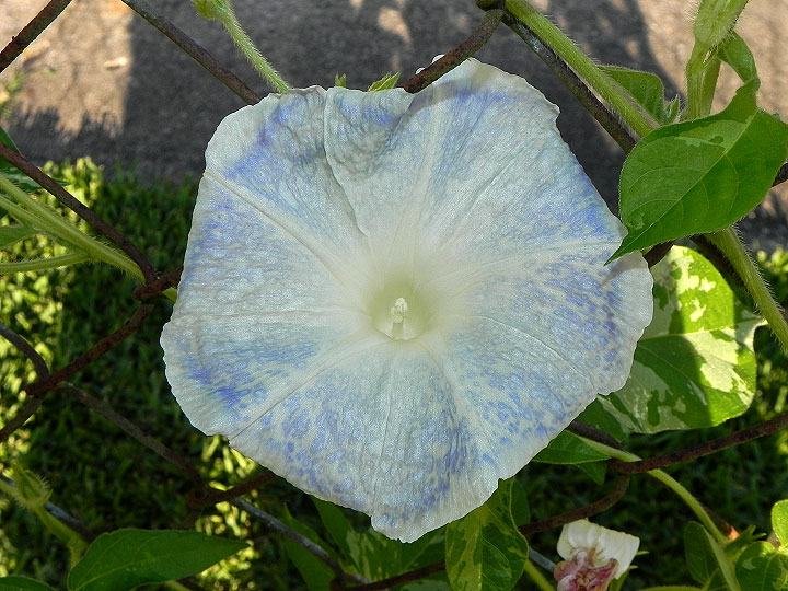 dscn7490