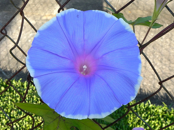 dscn7496