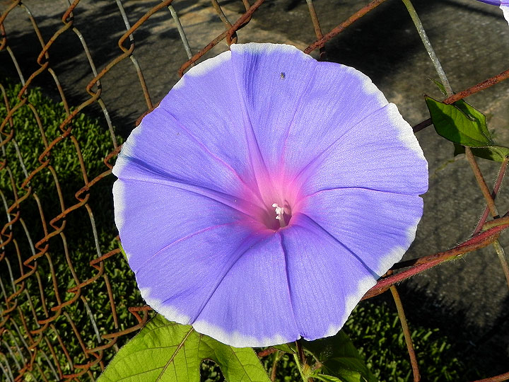 dscn7497