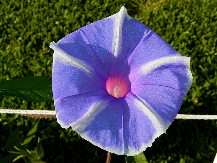 dscn7550
