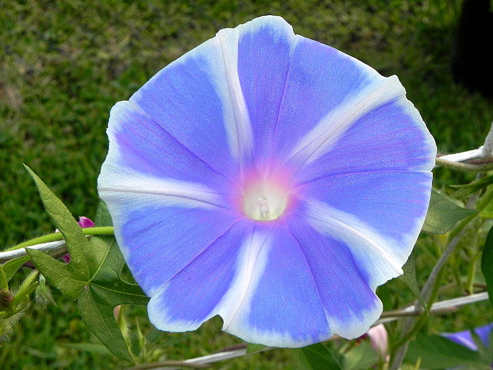 dscn7696