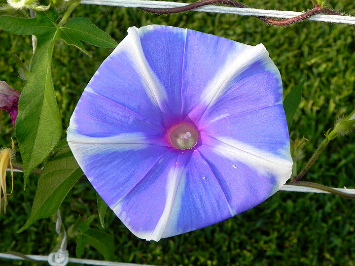 dscn7777