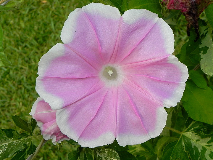 dscn7816