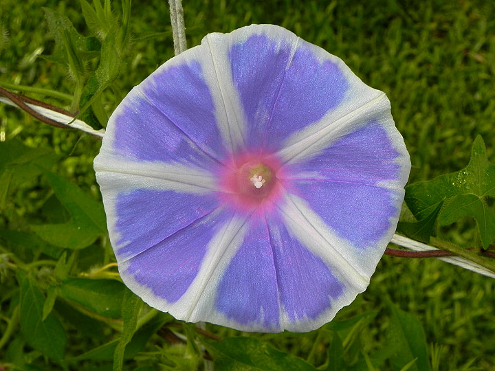 dscn7849