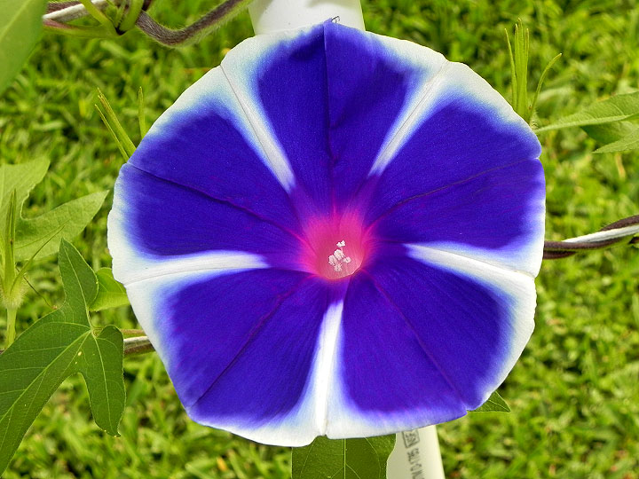dscn7883