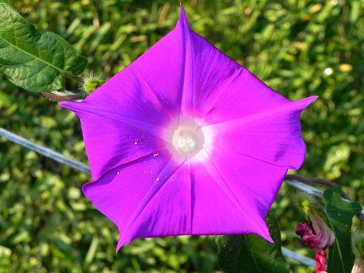 dscn7915