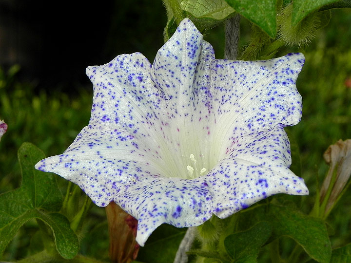 dscn7924