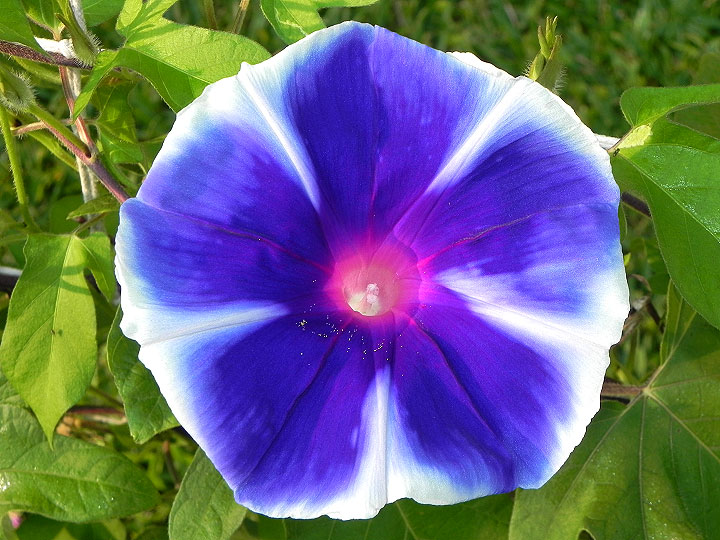 dscn7934