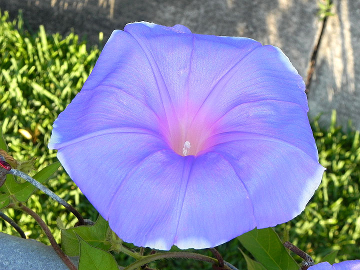 dscn7970