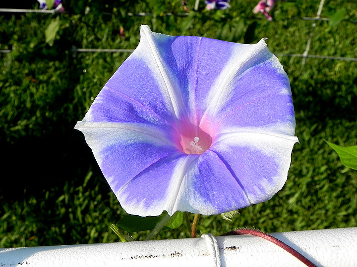 dscn8019
