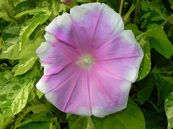 dscn8119