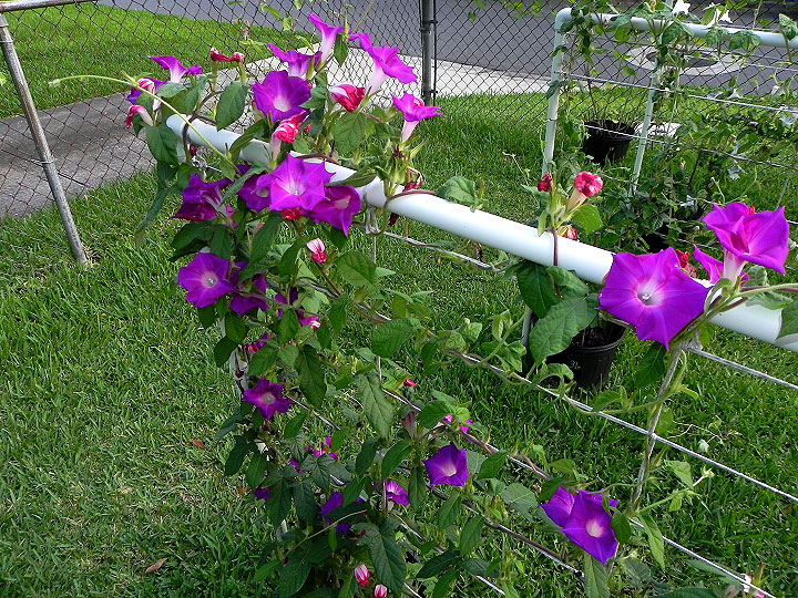 dscn8122
