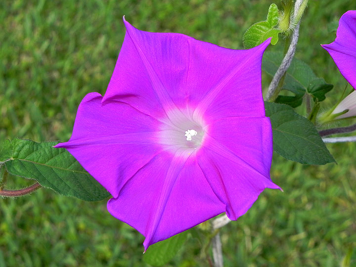 dscn8127