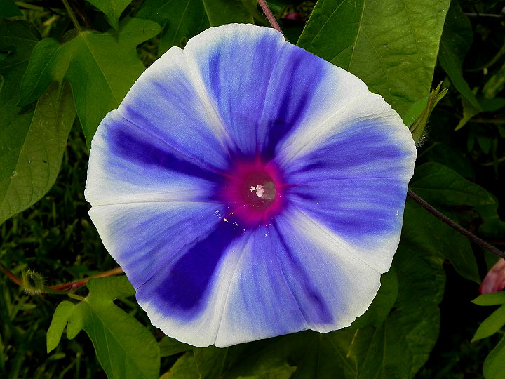 dscn8156