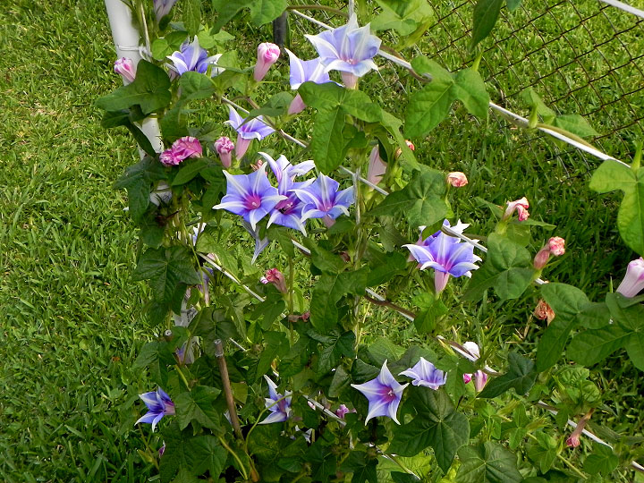 dscn8159