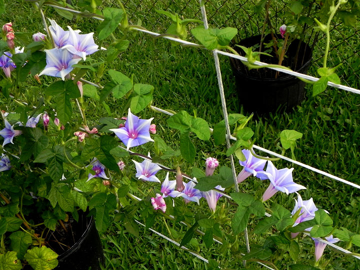 dscn8160