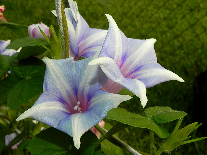 dscn8162