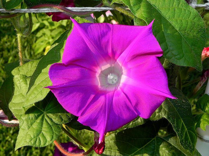 dscn8220