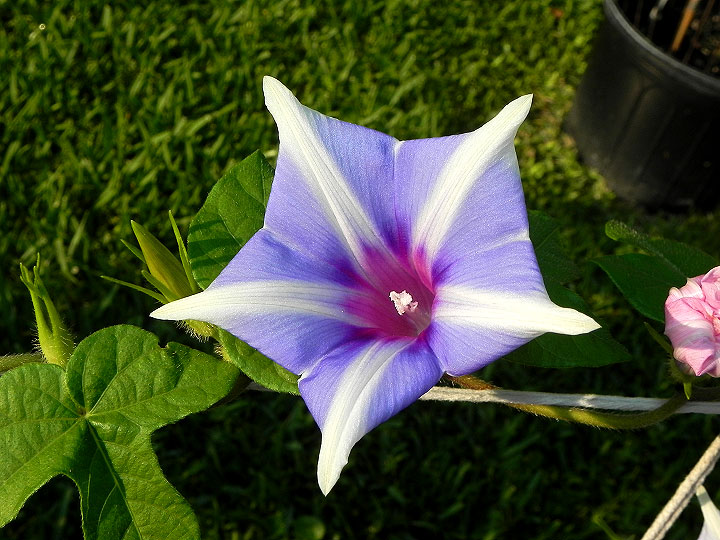 dscn8256