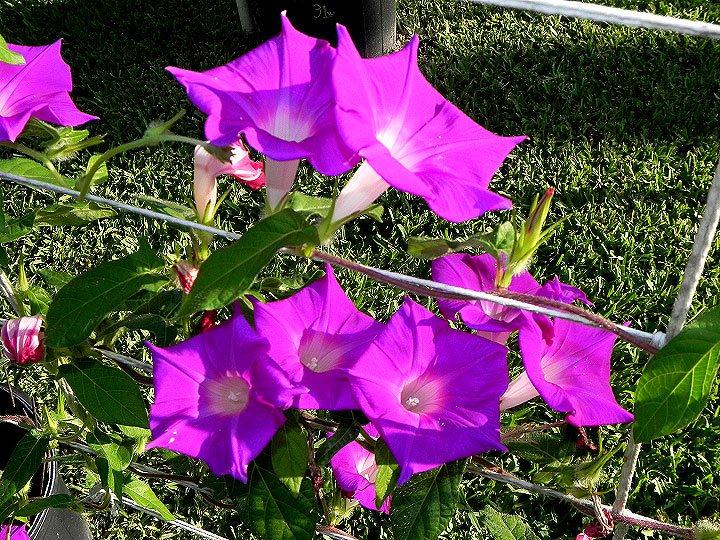 dscn8294