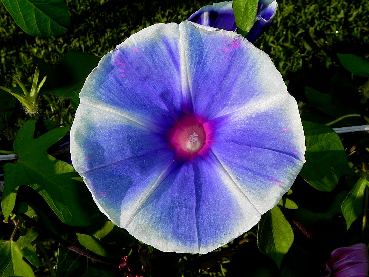 dscn8321