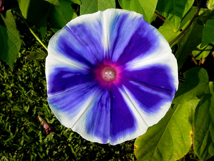 dscn8323