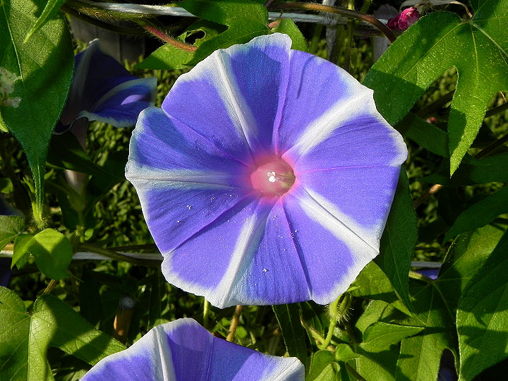 dscn8343