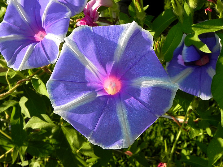 dscn8344