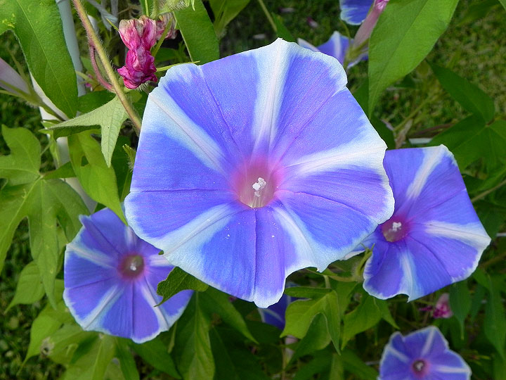 dscn8424