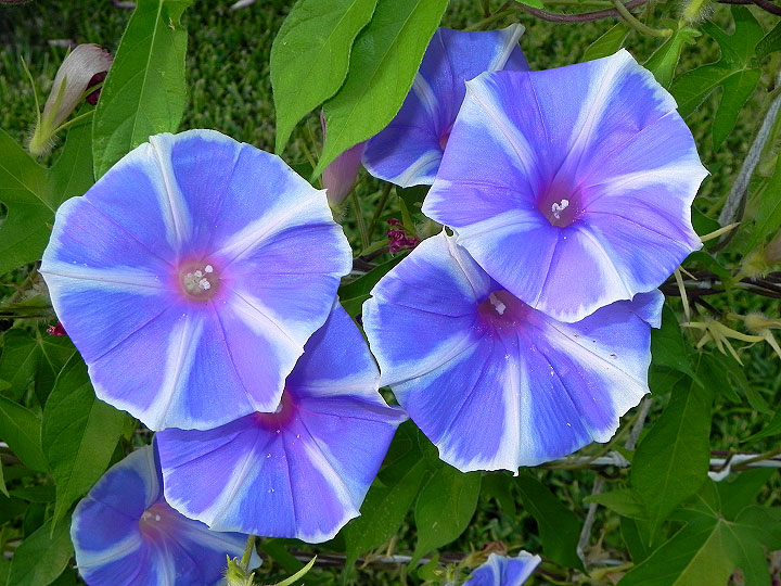 dscn8425