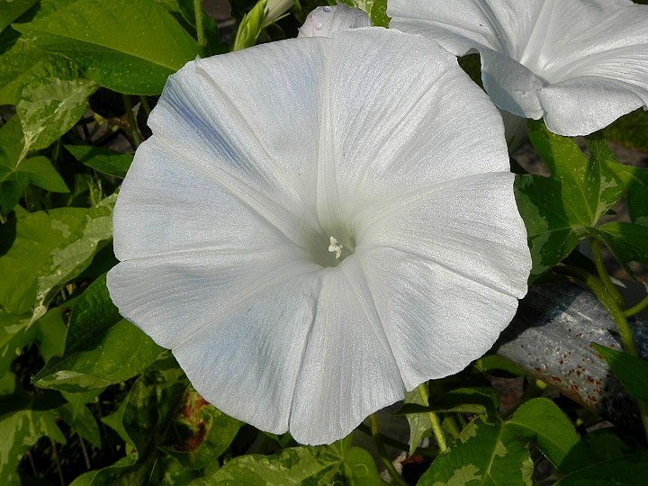 dscn8445