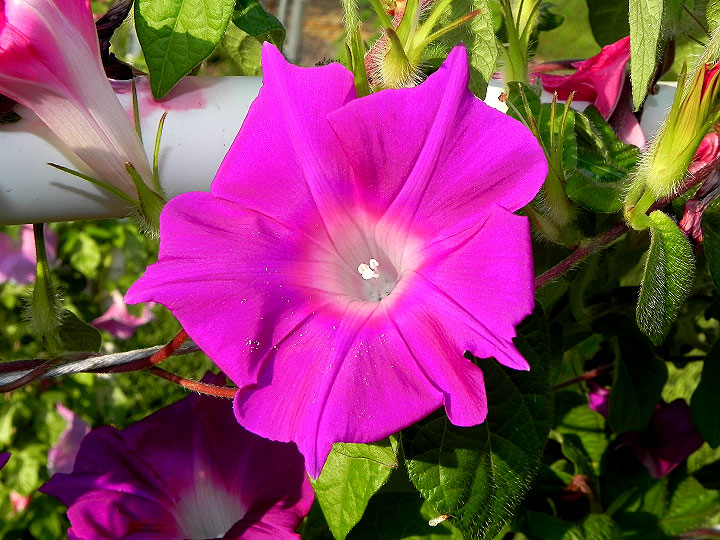 dscn8453
