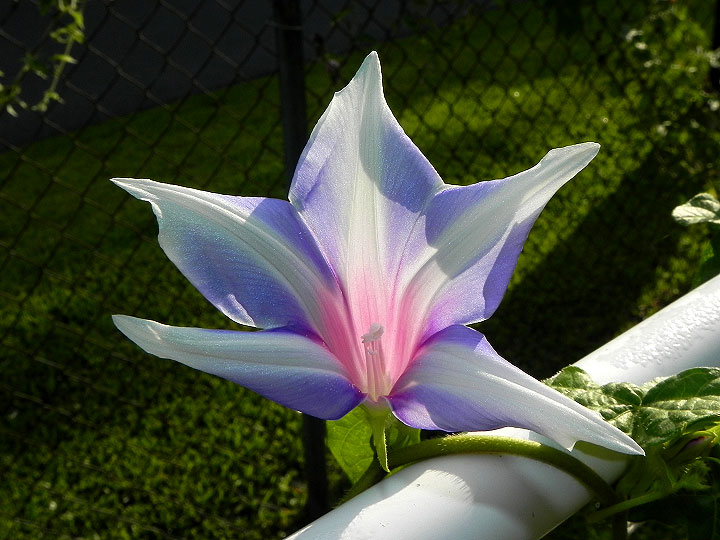 dscn8480