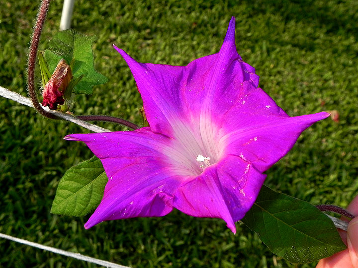 dscn8521