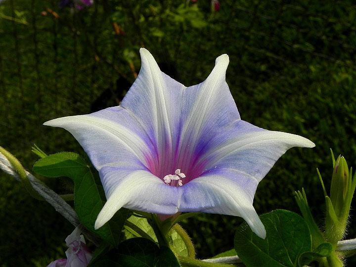 dscn8546