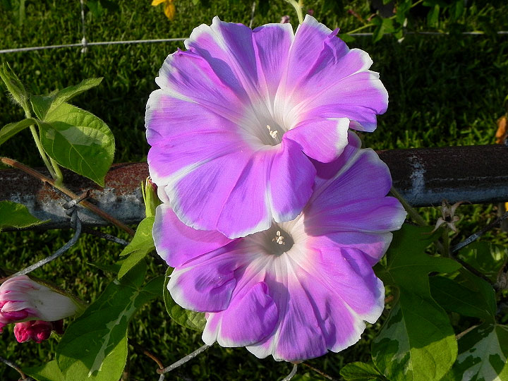 dscn8572