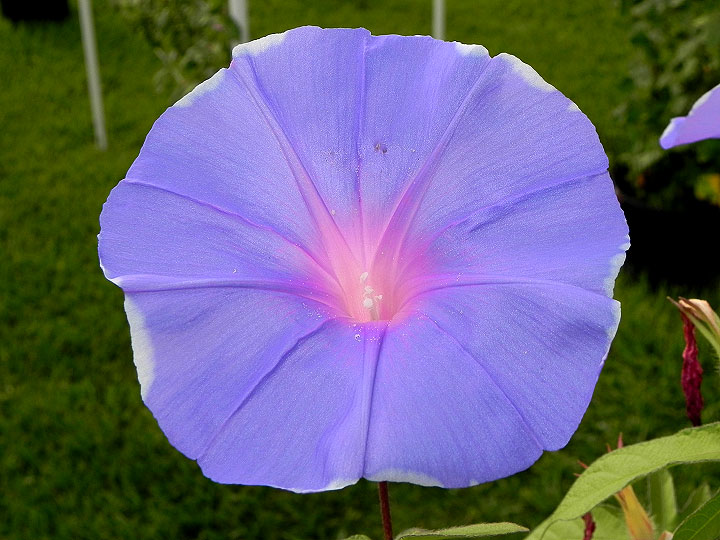 dscn8670