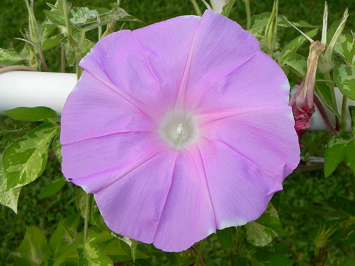 dscn8690