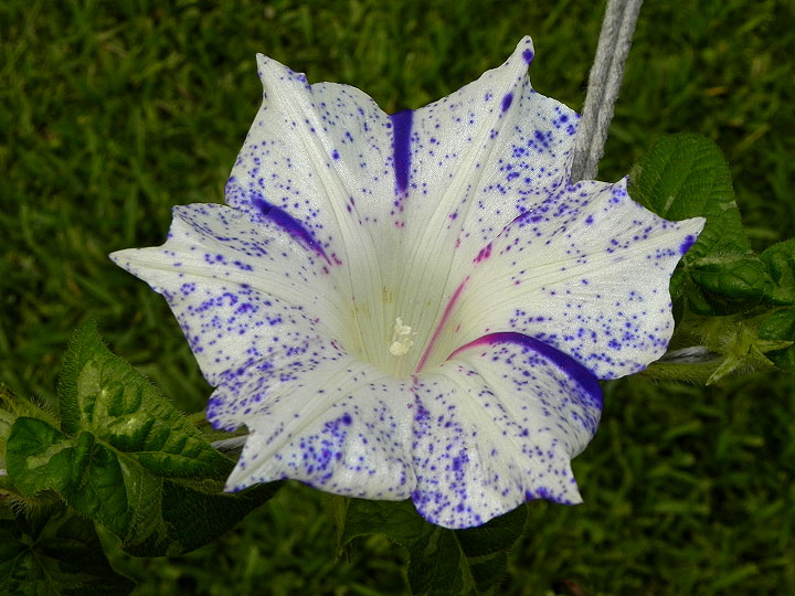 dscn8709