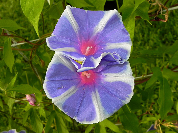 dscn8743