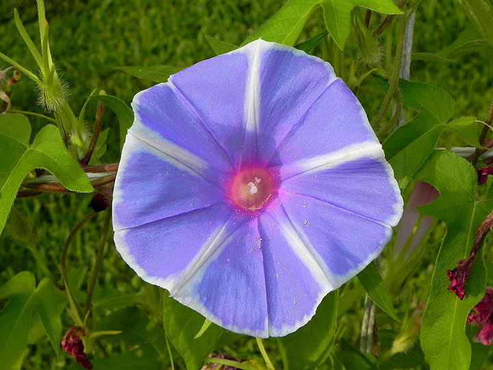 dscn8746