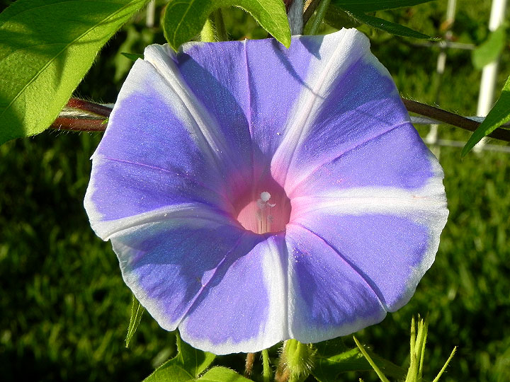 dscn8804