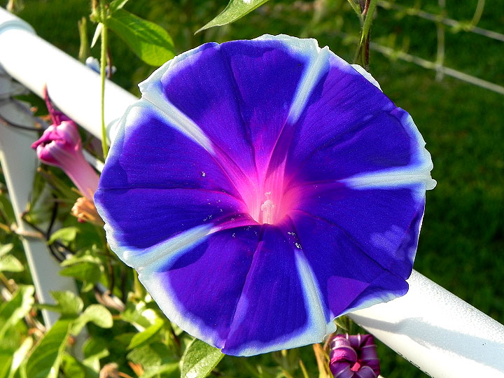 dscn8861