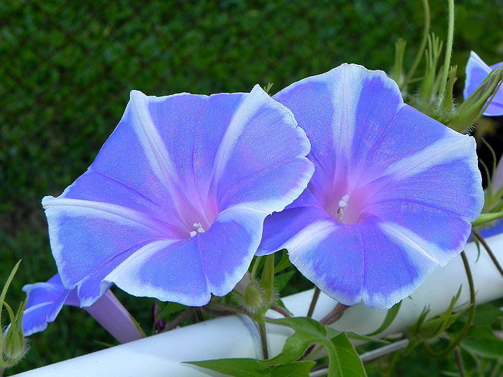 dscn8878