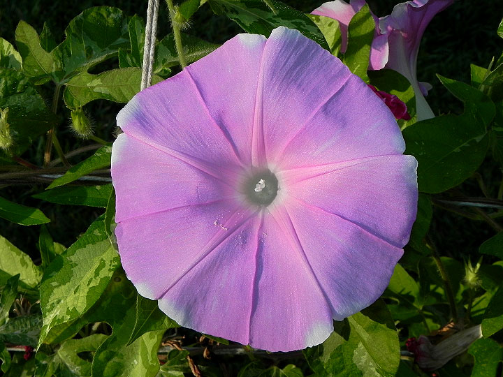 dscn8900