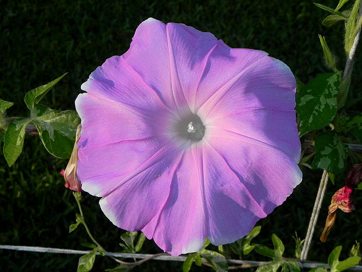 dscn8902