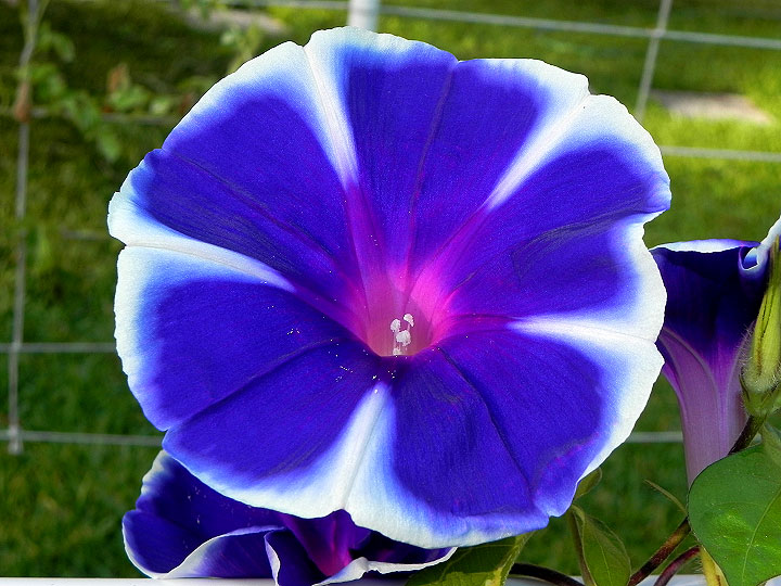 dscn8929